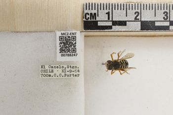 Media type: image;   Entomology 788247 Aspect: Labels